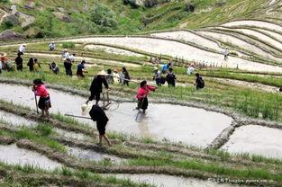 开龙脊视频,开龙脊视频深度解析